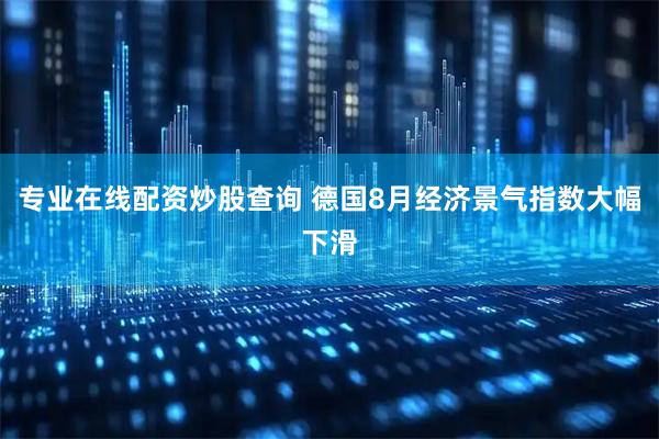 专业在线配资炒股查询 德国8月经济景气指数大幅下滑