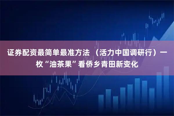 证券配资最简单最准方法 （活力中国调研行）一枚“油茶果”看侨乡青田新变化